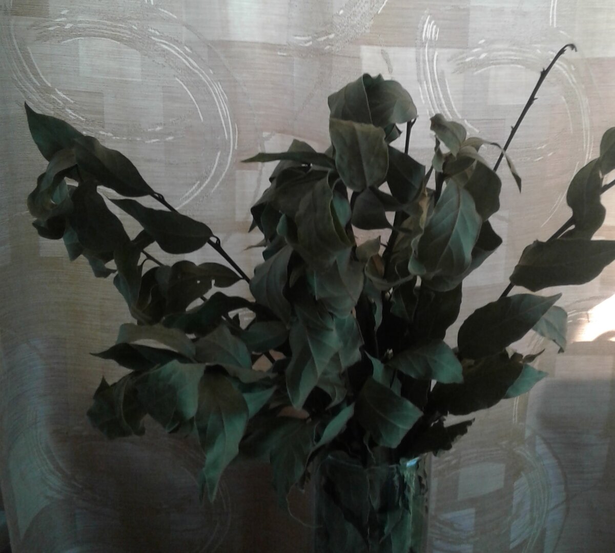 Вот такой букет стоит всего 40 рублей