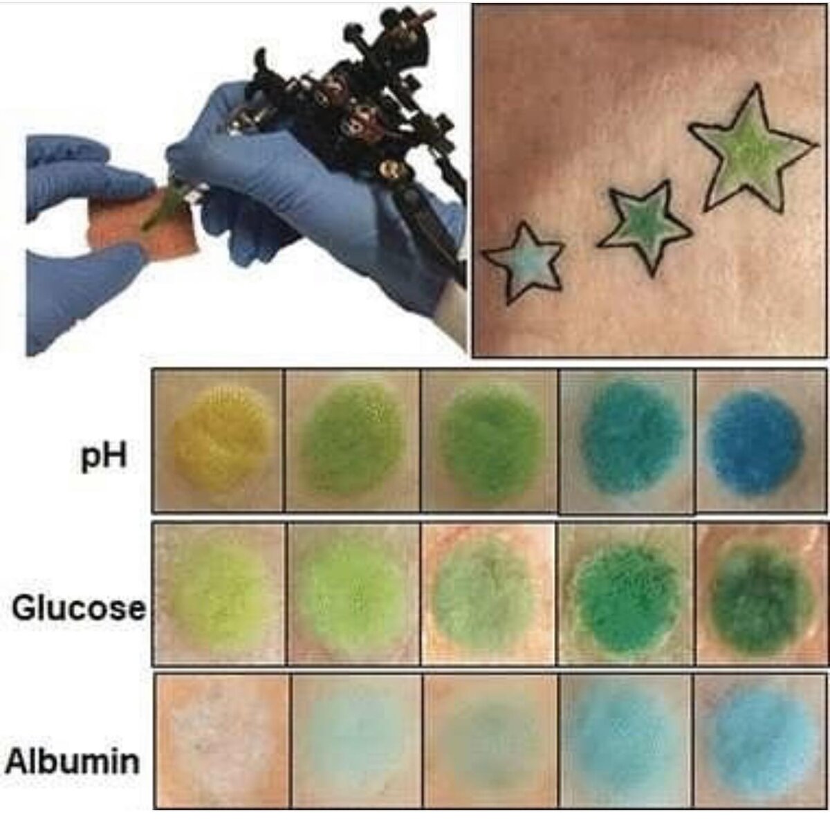 Источник изображения: «Angewandte Chemie»  onlinelibrary.wiley.com