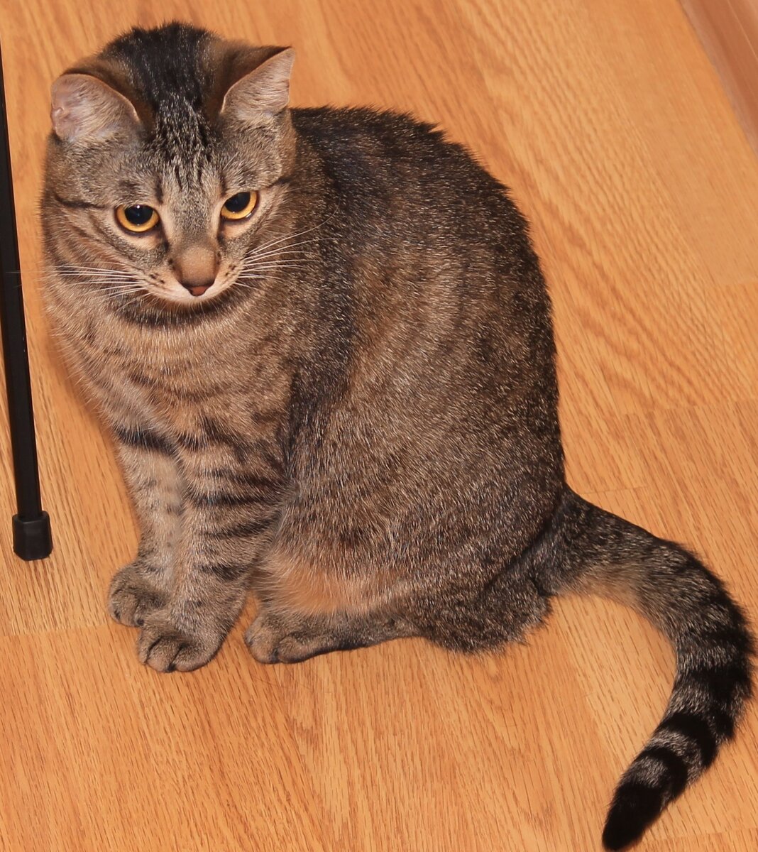 Личное фото.