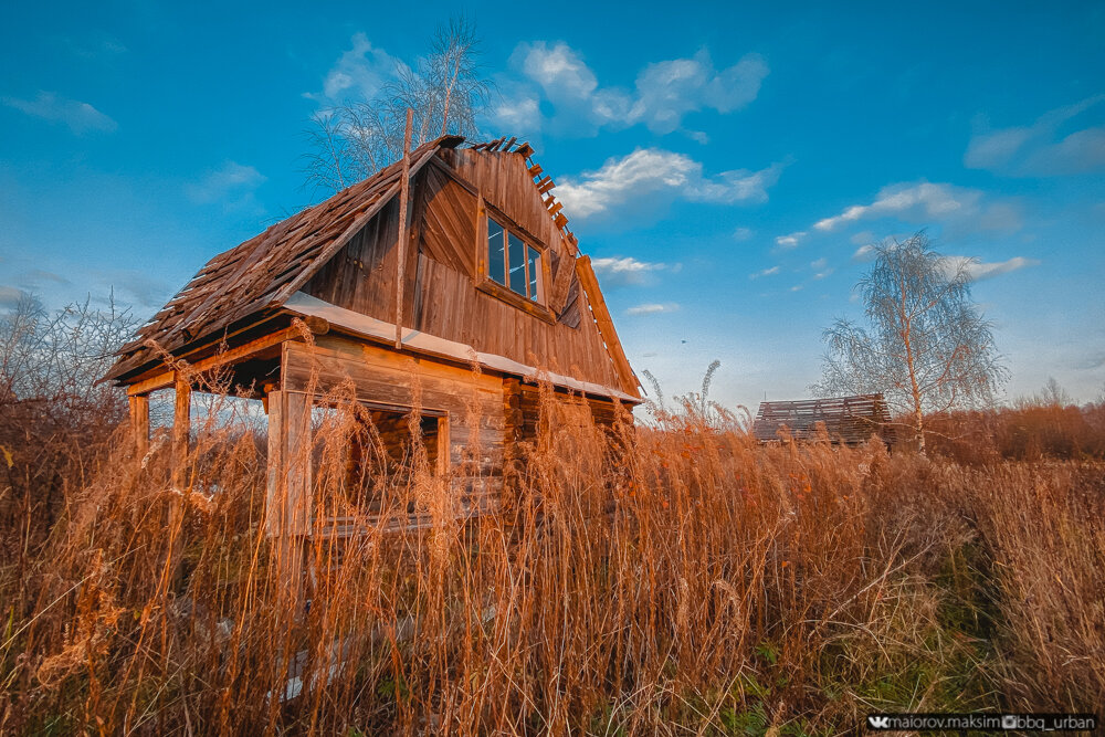 Фото заброшенного участка