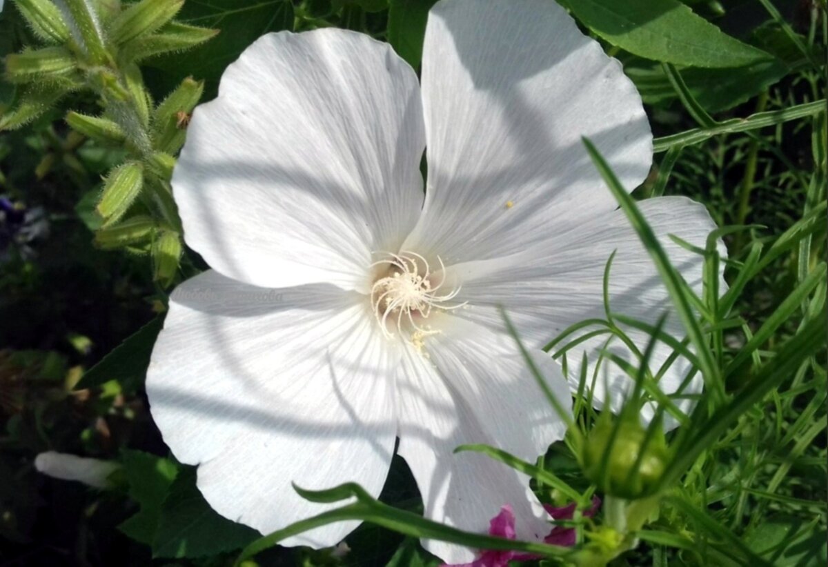 Важно уяснить то, что какие бы обстоятельства не складывались, какие бы тени и неблагоприятные обстоятельства на нас не наваливались, в любом случае мы остаёмся всё теми же прекрасными созданиями, которых создало и поддерживает во всём наше мироздание. 