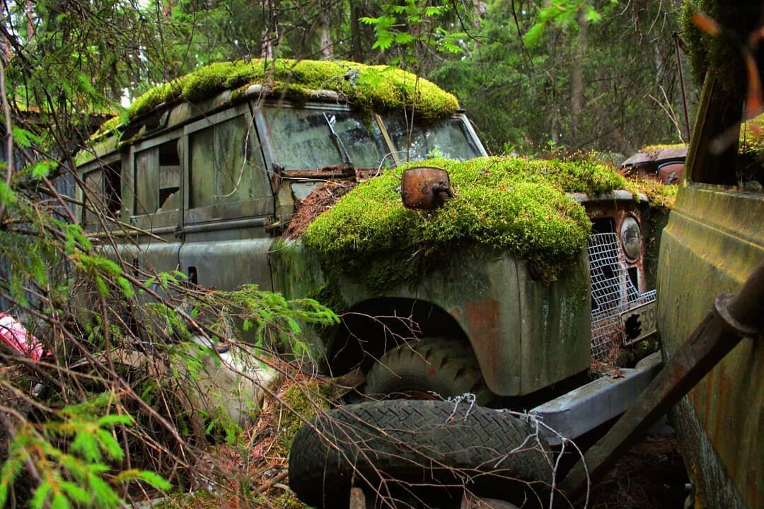 Брошенные автомобили в лесу