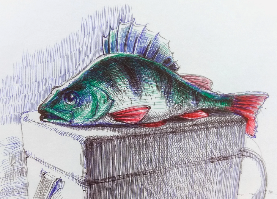 рисунок – автора