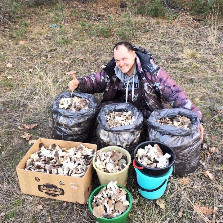 Около половины нашего улова