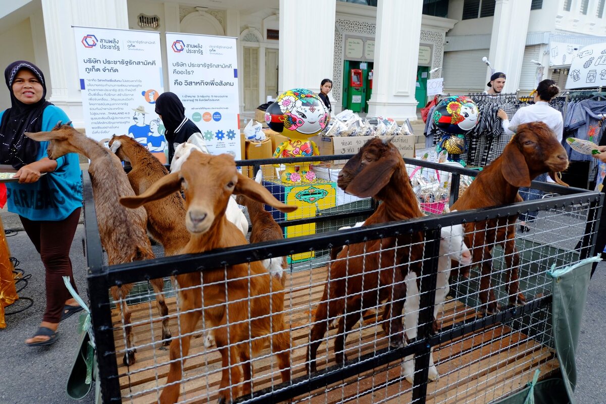 Мы такие фотографы - курам на смех | Зимуем вместе! | Дзен