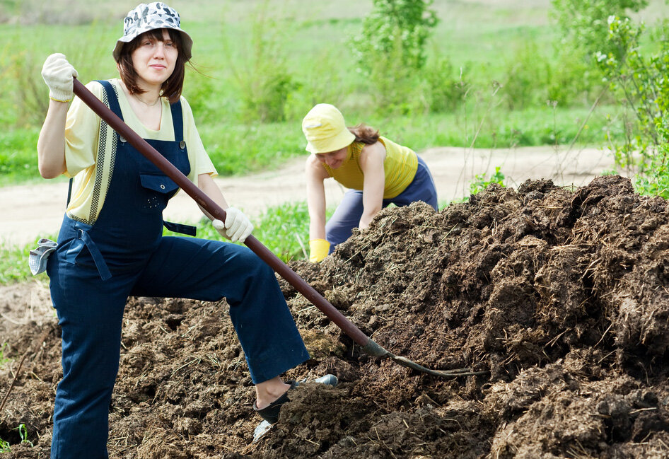 картинка взята с https://yandex.ru/images