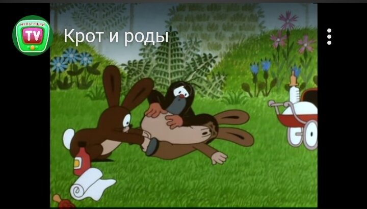Мама в кубе дзен