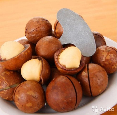 Макадамия, фото из интернета