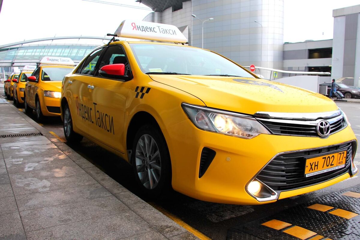 Фото из открытых источников. Яндекс-картинки