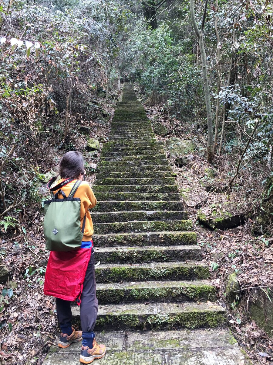 Парк "Аватар" - именно здесь Джеймс Кемерон снял свою мировую картину "Аватар"