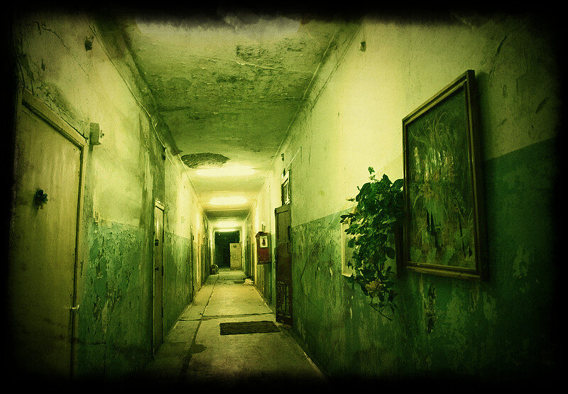 Фото обработано в редакторе.