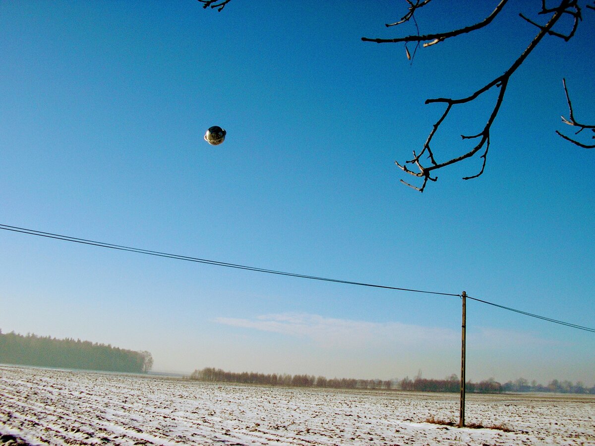 НЛО. Фото взято из открытых источников
