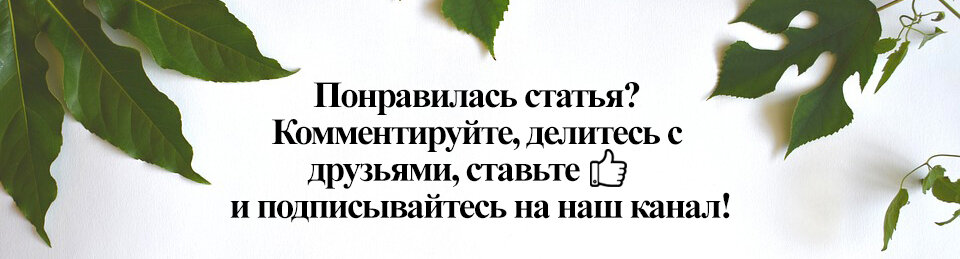 Изотоник своими руками: 6 простых рецептов в домашних условиях