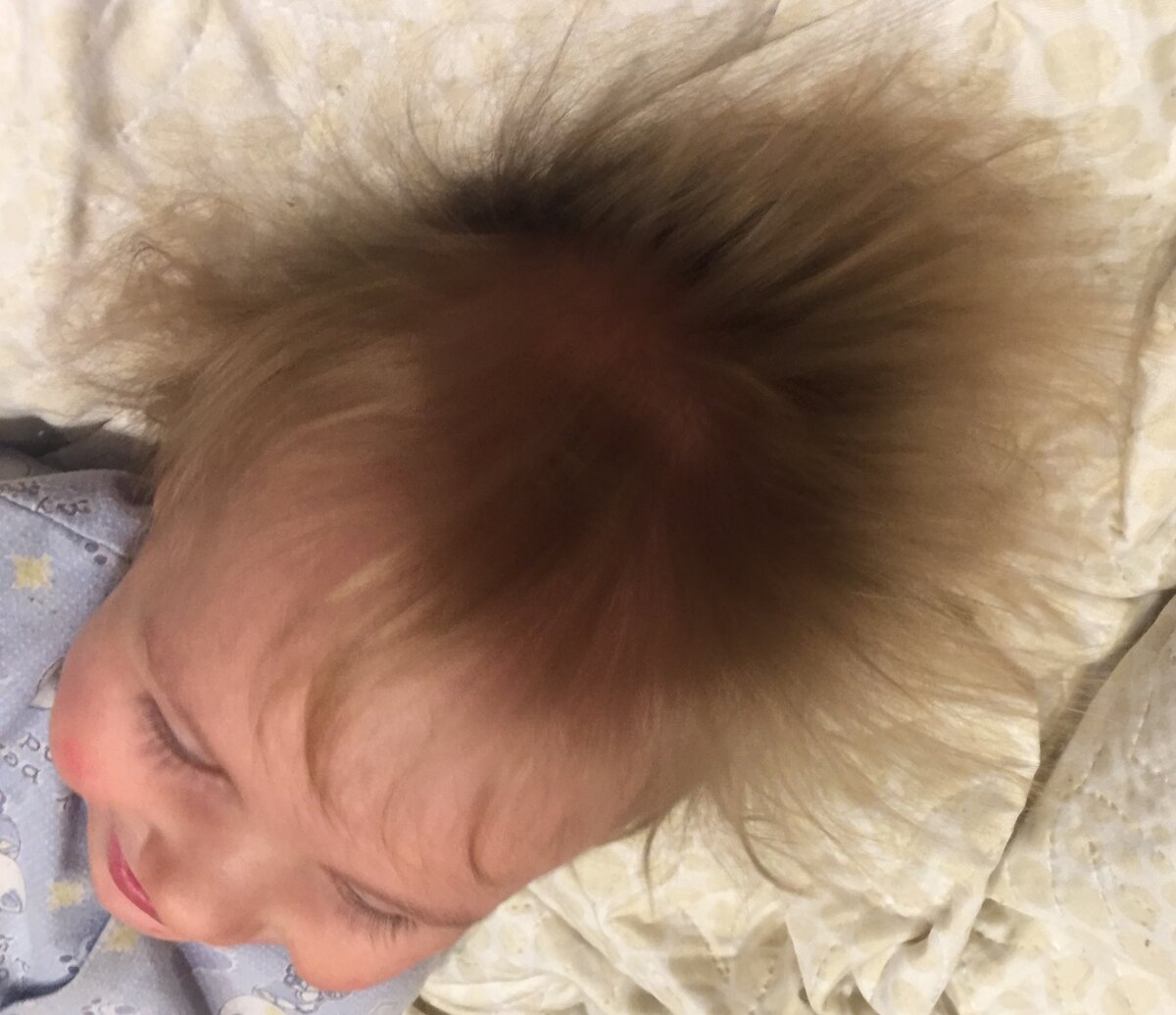 Мой симпатичный одуванчик