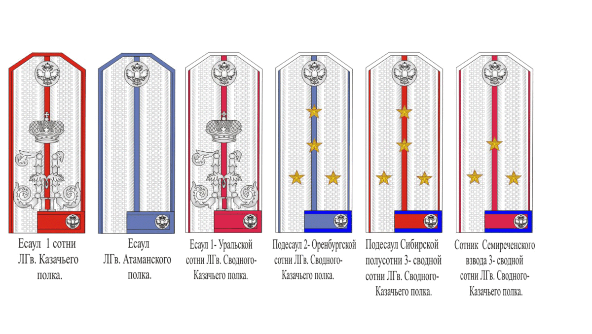 Казачьи погоны и звания нового образца