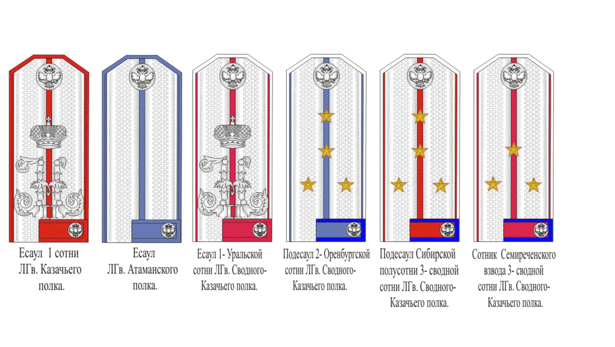 Погоны есаула в казачьих войсках фото