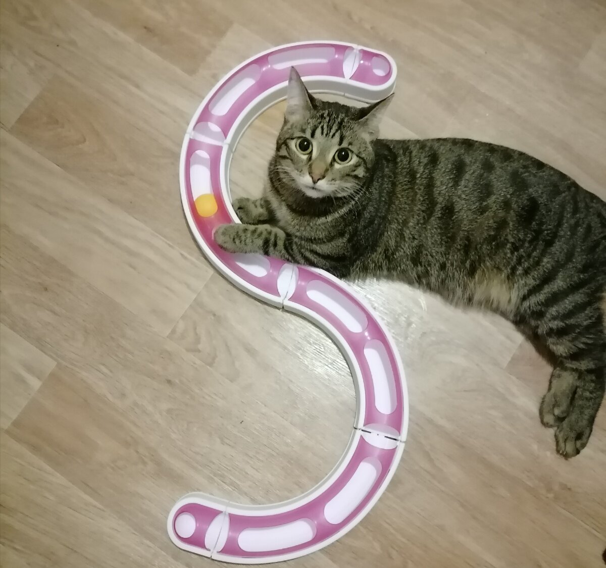 Фото автора