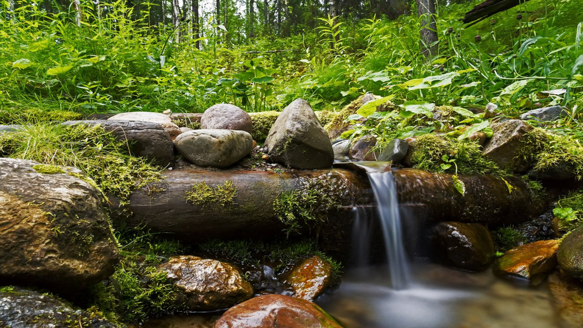 Родниковая вода