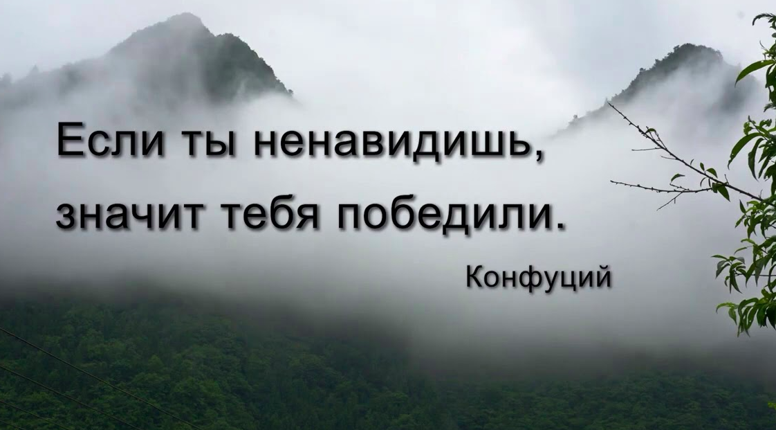 Испытывающий ненависть. Если ты ненавидишь значит тебя победили. Если ты ненавидишь значит тебя победили Конфуций. Конфуций высказывания. Конфуций если ты ненавидишь значит.