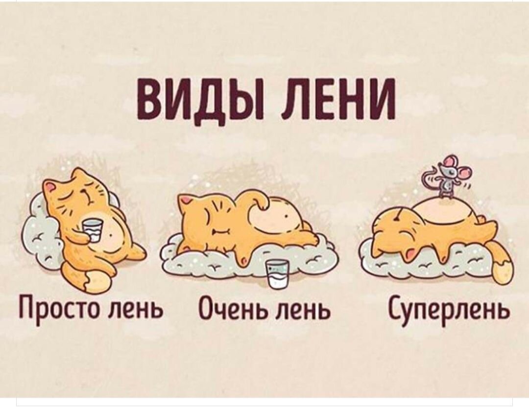 Картинка с поисковой системы Яндекс.