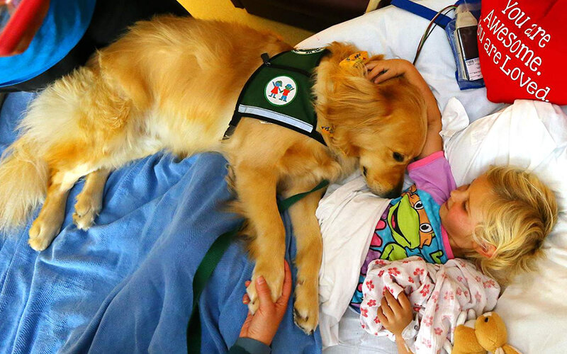 Пятилетняя Эмма Андерсон из Сенойи общается с Уно, одной из 11 собак-терапевтов, работающих в Департаменте Детского Здравоохранения Атланты. Фото Curtis Compton/ccompton@ajc.com