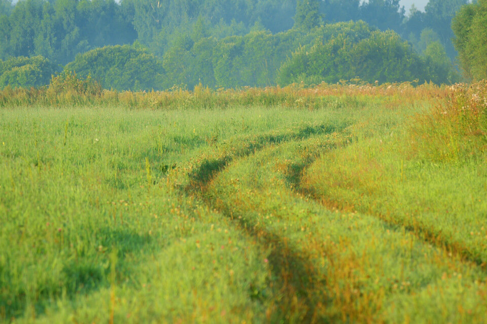 Мотивирующие цитаты для путешественников | Заповедные места России | Дзен