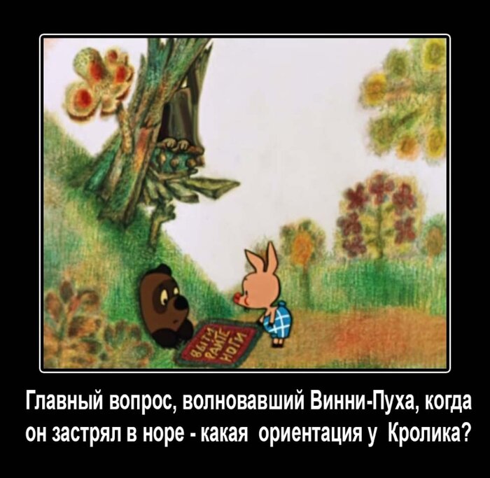 Фото взято из Яндекс. Картинок.