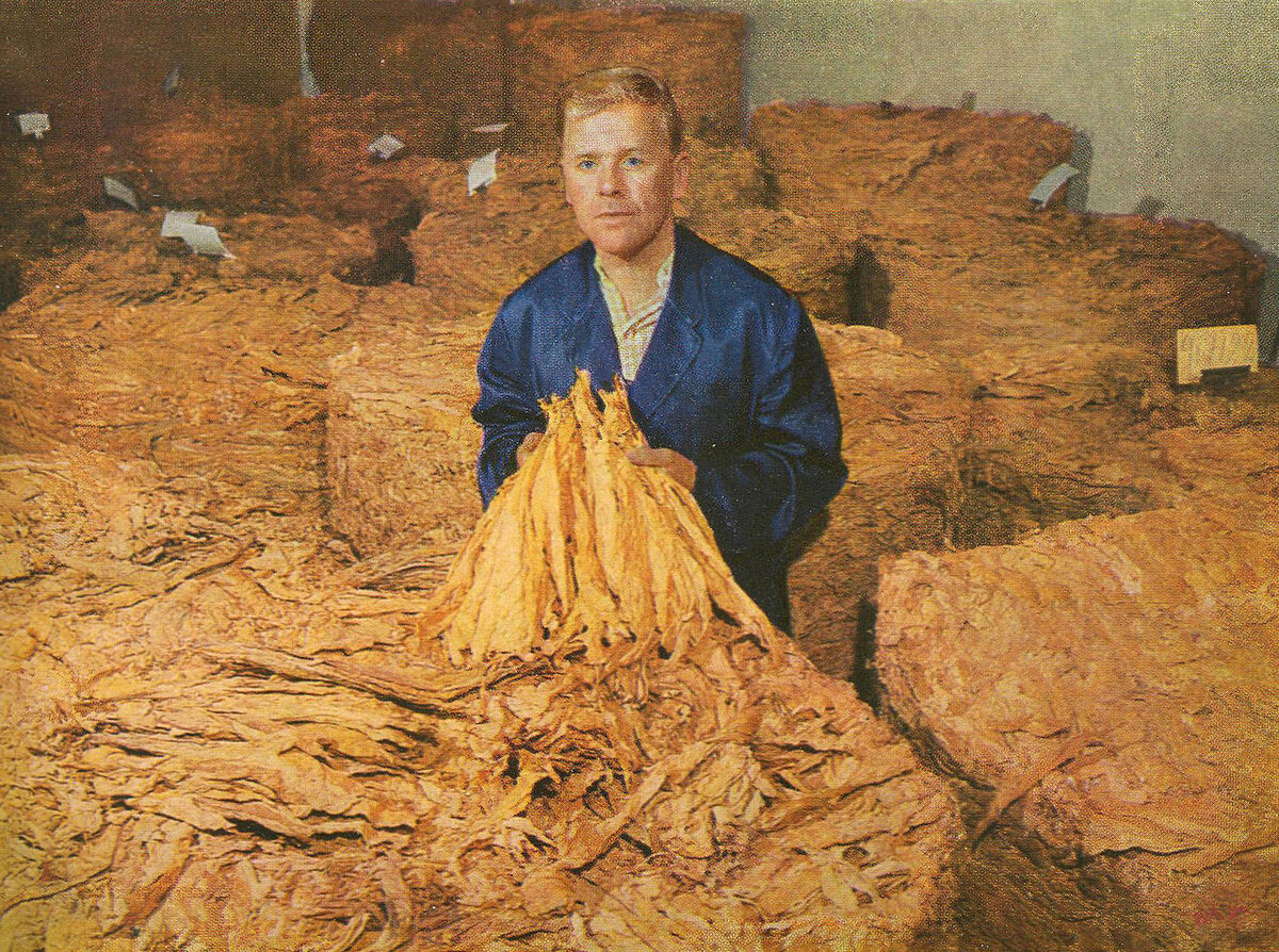 Автор: Неизвестен - Oscar Nikula: Strengbergs 1762-1962. Jakobstad 1962., Общественное достояние, https://commons.wikimedia.org/w/index.php?curid=13281006