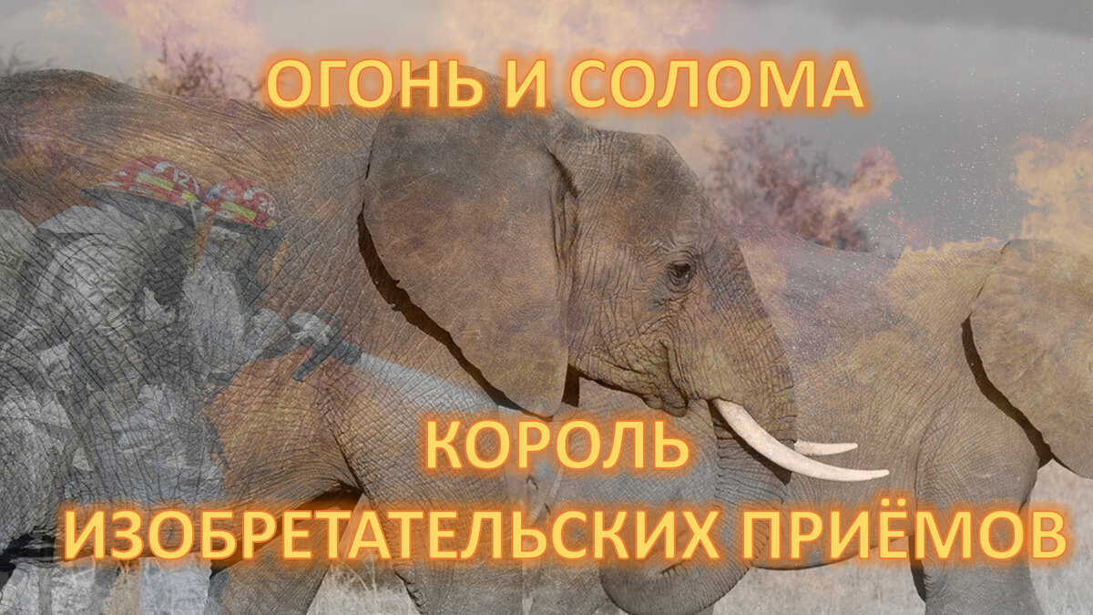 Браконьеры активно уничтожают слонов. Принцип двупричинности событий. Новые  инструменты ТРИЗ | Инженер идей | Дзен