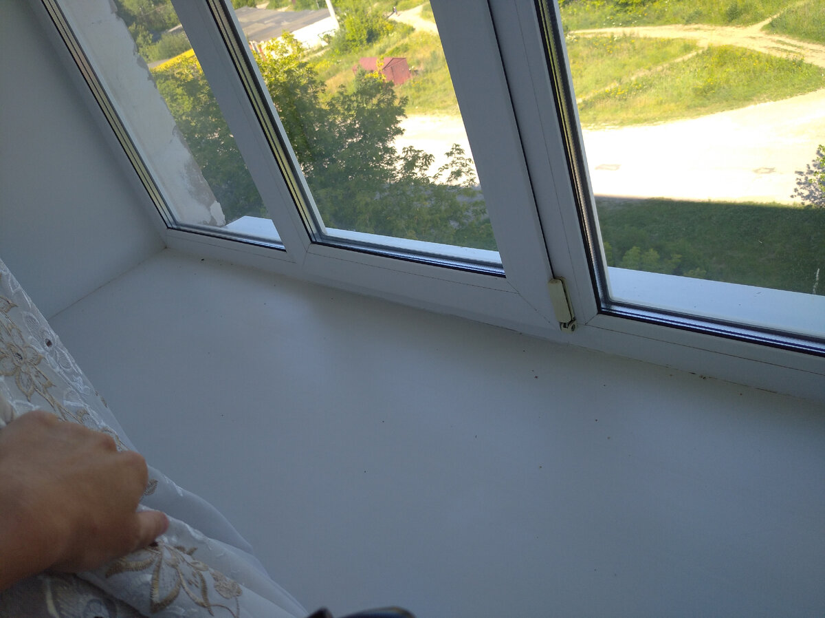 Наши брежневские подоконники