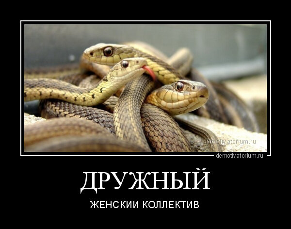 Фото взято из свободных источников