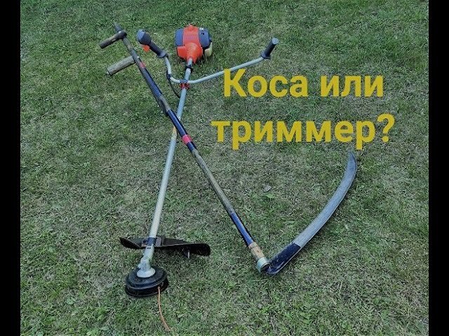 Фото личное, 