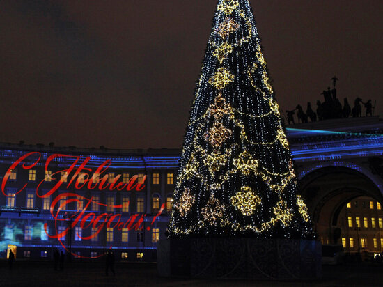     в этом году дерево будет живым и высотой 23 метра. Фото: Baltphoto