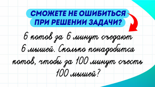 Задача про котов и мышей. Попробуйте не ошибиться при решении!