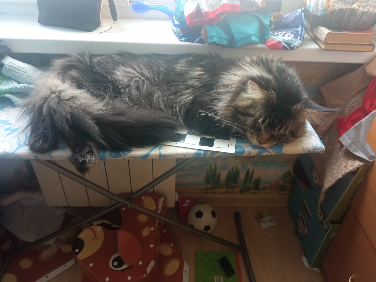 Сплю (личное фото) 