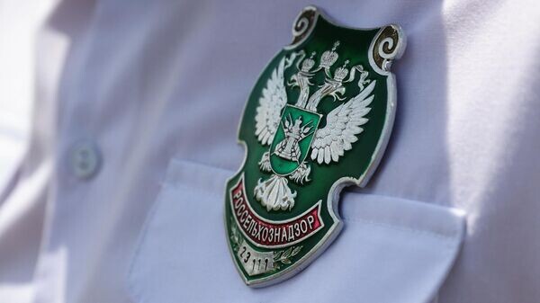   © Sputnik / Виталий Тимкив