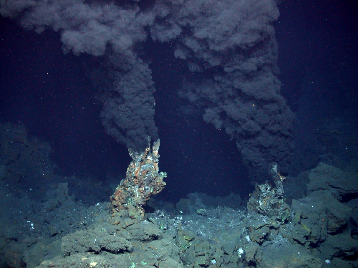 Самом глубоководном море. Черные курильщики Марианская впадина. Бездна Челленджера в Марианской впадине.