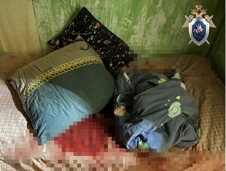     Женщина напала на супруга, когда тот мирно спал.  СУ СКР по Нижегородской области