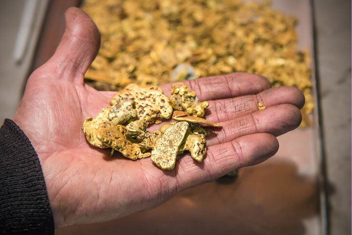 Фото: biznes-gazeta.ru 