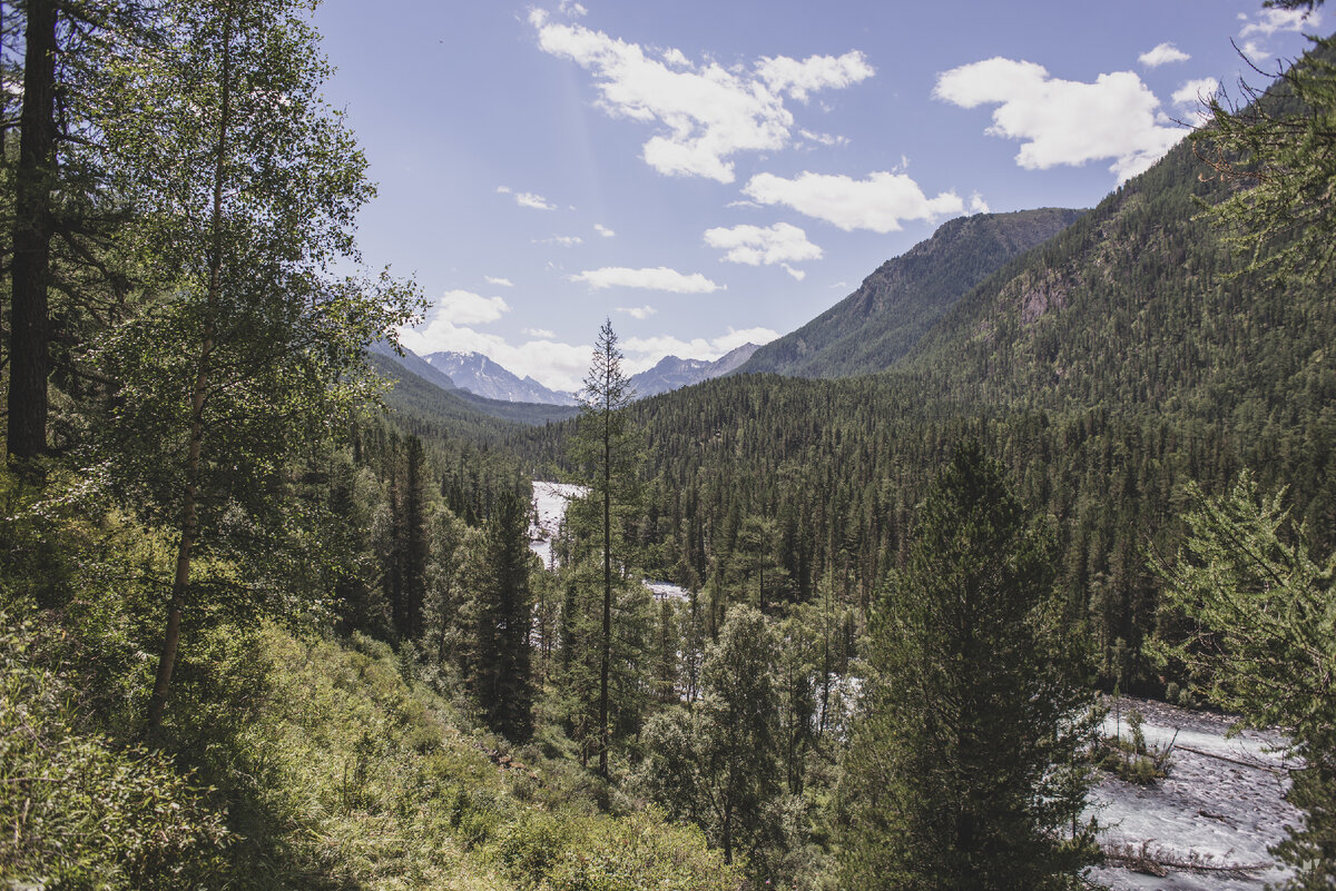 На тропе у реки Кучерла.