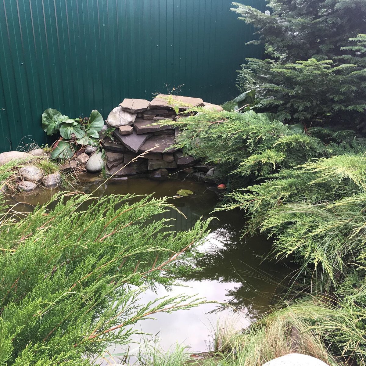 Прудик созданный 10 лет назад.