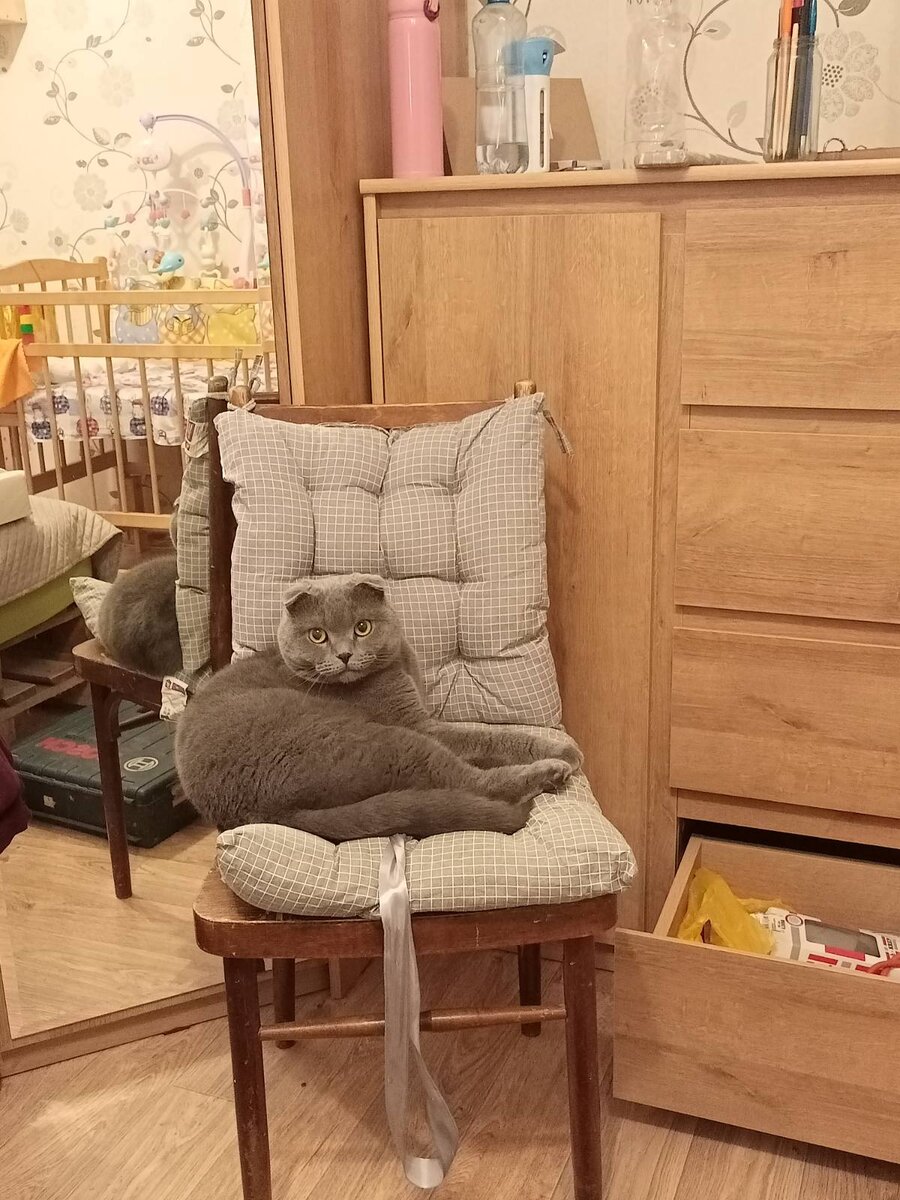 Просто решил прилечь и отдохнуть, утомили вы меня .