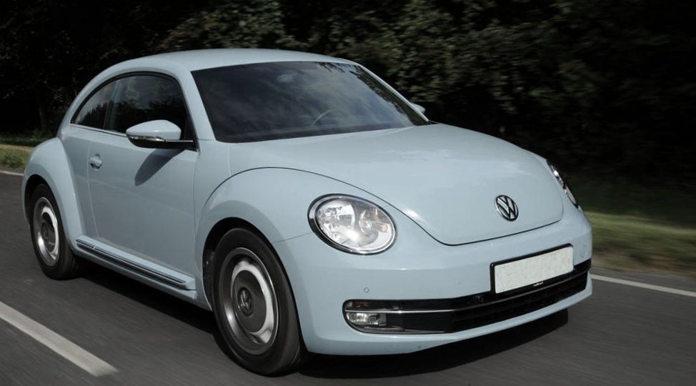 ЖУК И ЗАПОРОЖЕЦ