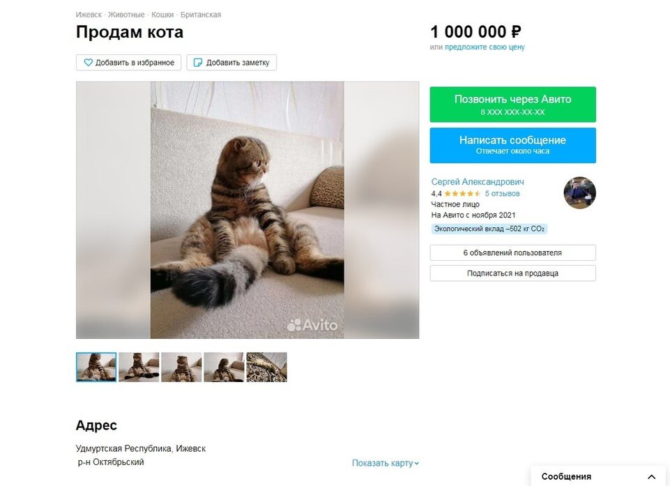     Вот так выглядит объявление на сайте. Фото: скриншот