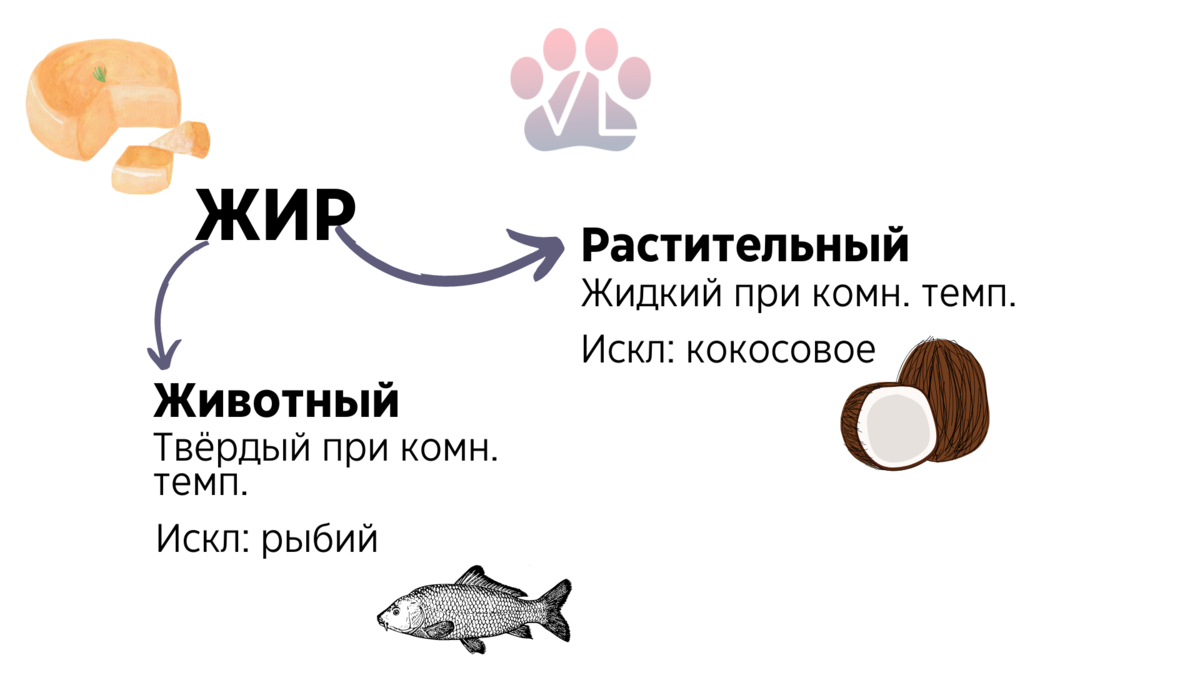 Ветеринар о лососевом масле и рыбьем жире для животных / есть ли разница?  Какова она? | Ветеринарный диетолог vetLIFE | Дзен