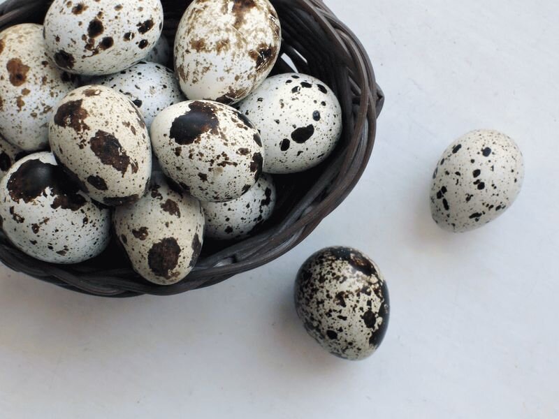 Фото AnnTS, Pixabay