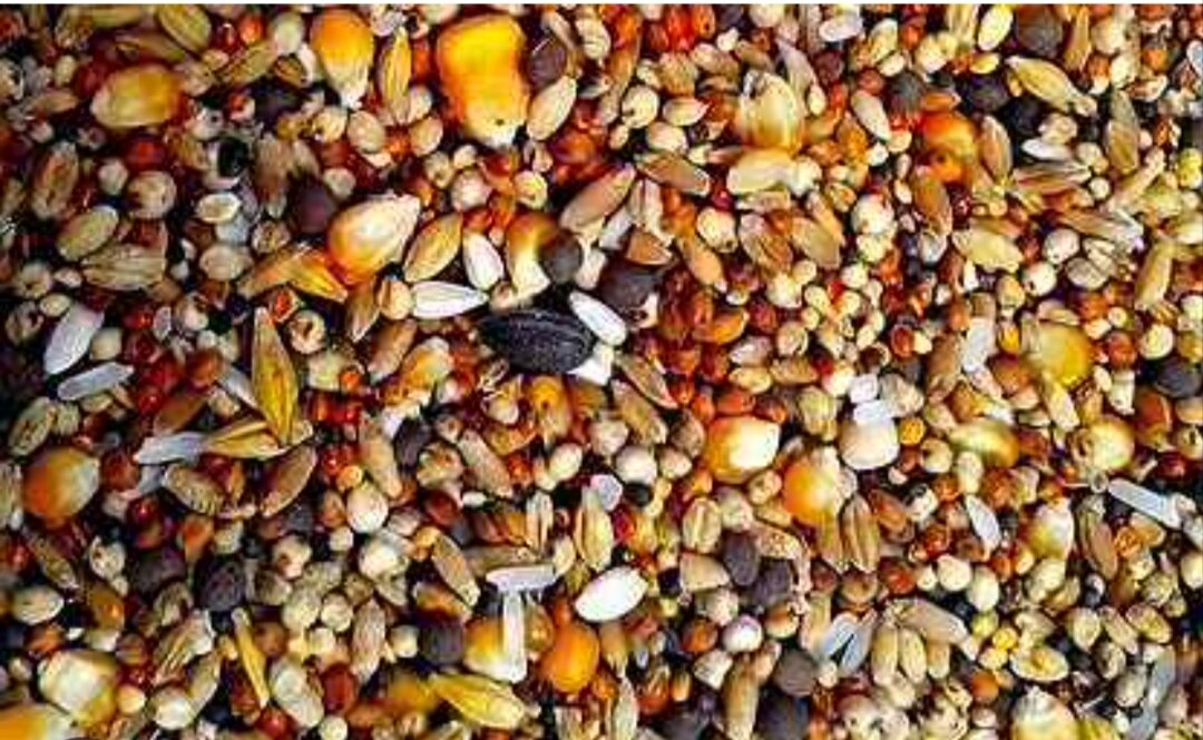 То очень насыщенная, то ни какая