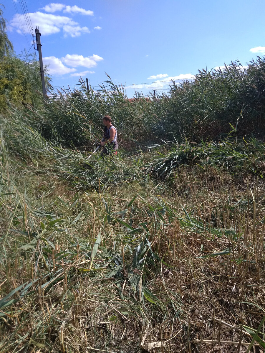 Расчистка участка