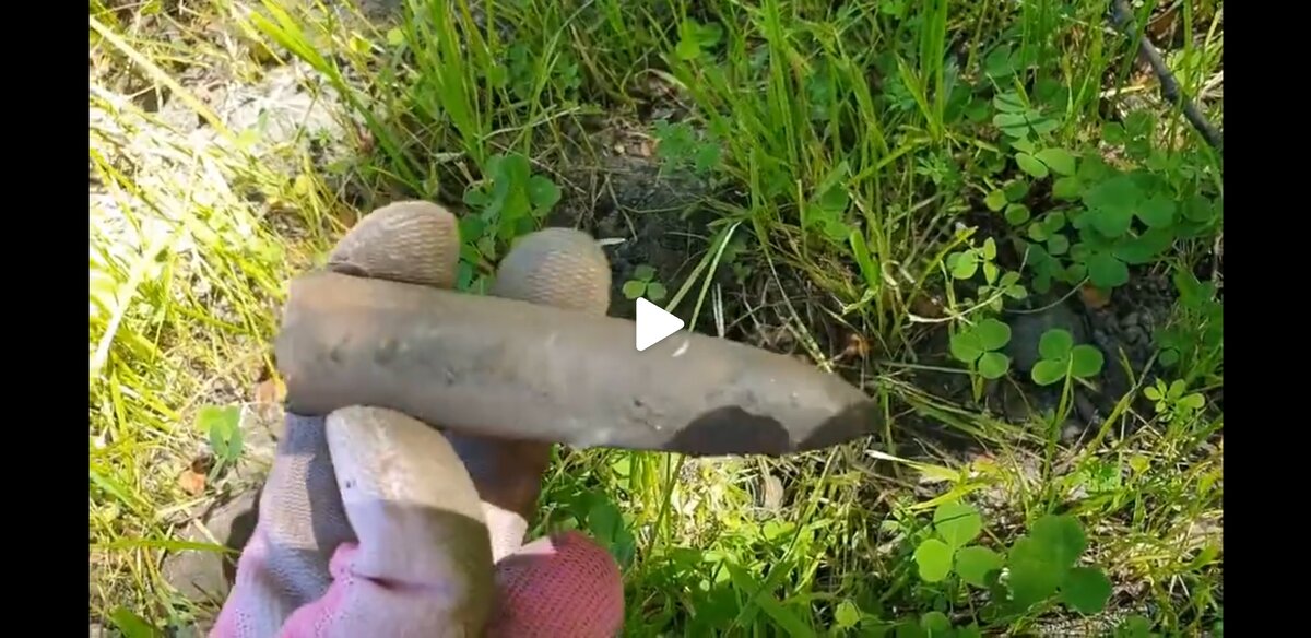 Ростр белемнита