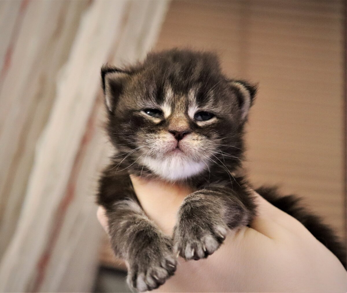 Фото из личного архива.